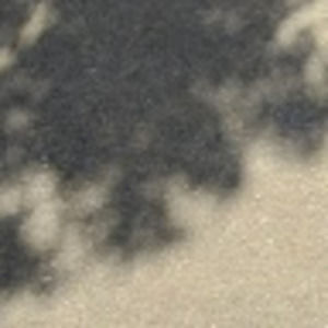 Meet your Posher, Natalia